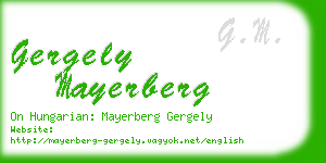 gergely mayerberg business card